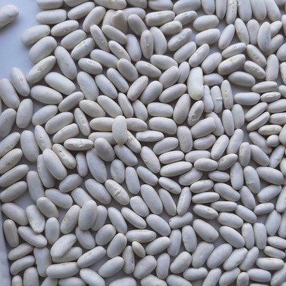 Prizma Alubia Beans 1000gr