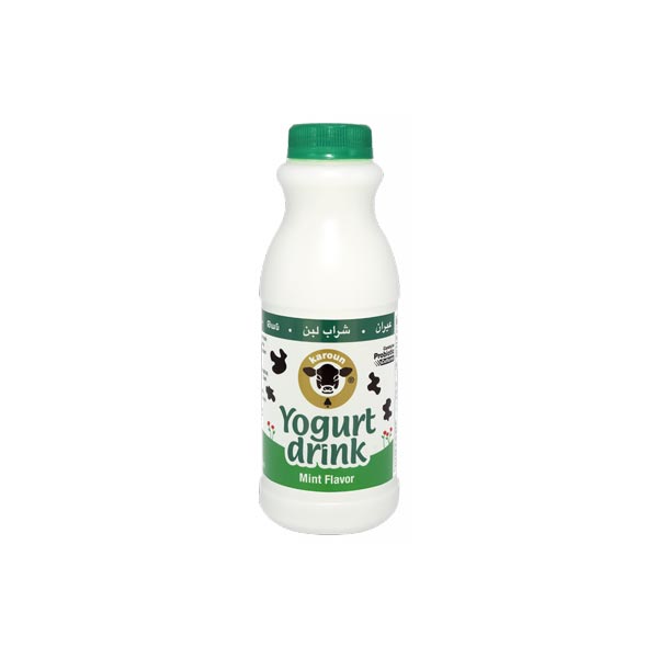 Karoun Yogurt Drink Mint 473 ml