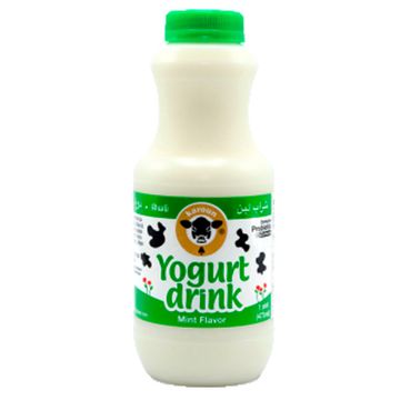 Karoun Yogurt Drink Mint Flavor 0.50gal
